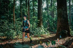 BIB: 
                            <button type="button" onclick="openModal(26130505)" class="btn btn-primary btn-sm float-right btn-popup" data-toggle="modal" data-target=".modal-high-quality">
                        <i class="fas fa-shopping-cart"></i> Add to Cart
                    </button>
                                            <button type="button" onclick="isThisMe(26130505, true)" class="btn btn-success btn-sm float-right btn-popup btn-isme hidden" data-toggle="tooltip" data-placement="bottom" title="นี่คือรูปของคุณใช่ไหม คลิกที่นี่เพื่อเอาเข้าอัลบั้ม">
                        <i class="fas fa-plus"></i> Add to album
                    </button>
                    <button type="button" onclick="isThisMe(26130505, false)" class="btn btn-warning btn-sm float-right btn-popup btn-isnotme hidden">
                        <i class="fas fa-ban"></i> Remove from album
                    </button>